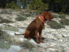 Lola 2004