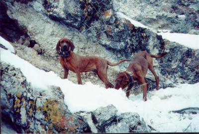 Rosie and Charlie 2001