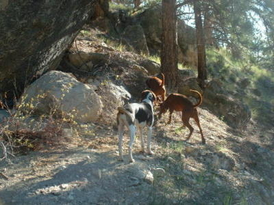 Trailing in the canyon 2005